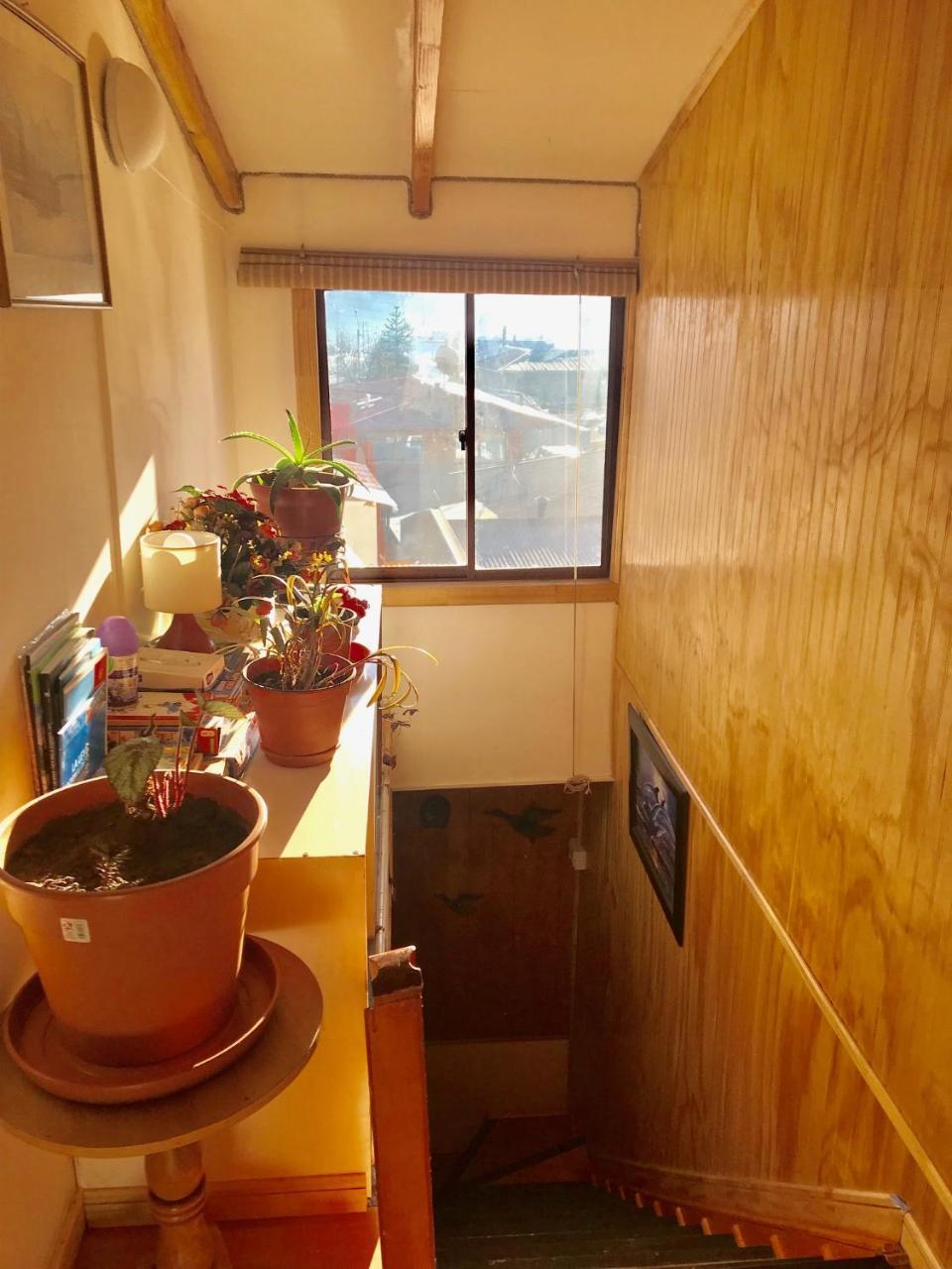Hostal Patagonia Marmol Coyhaique Zewnętrze zdjęcie