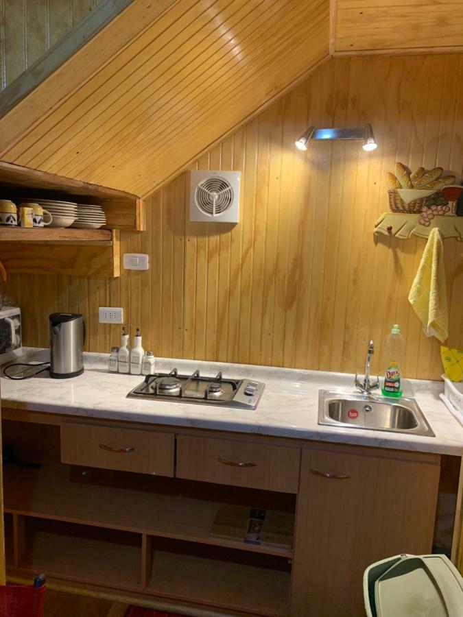 Hostal Patagonia Marmol Coyhaique Zewnętrze zdjęcie